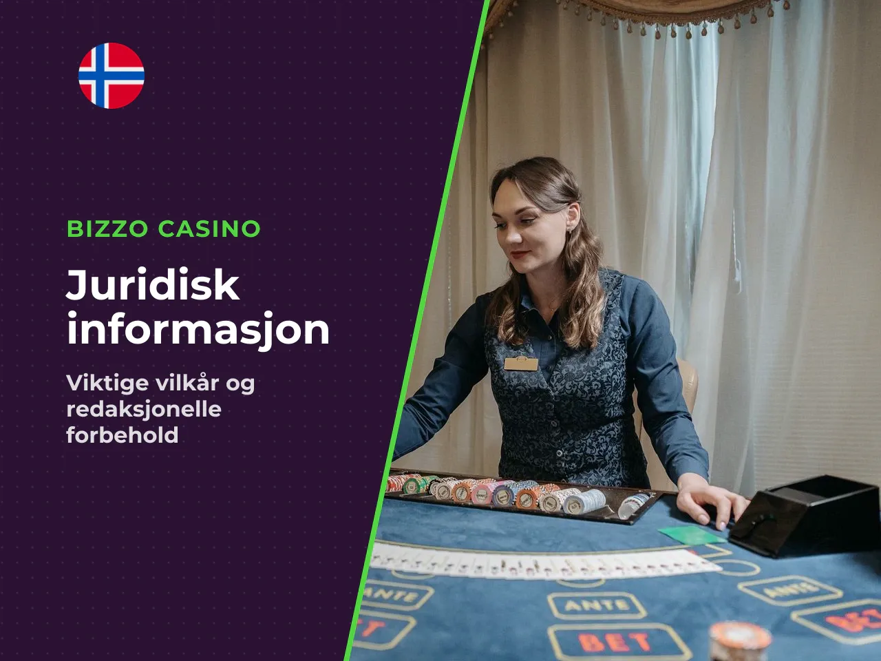Appendiks A Redaksjonelle endringer og forbehold