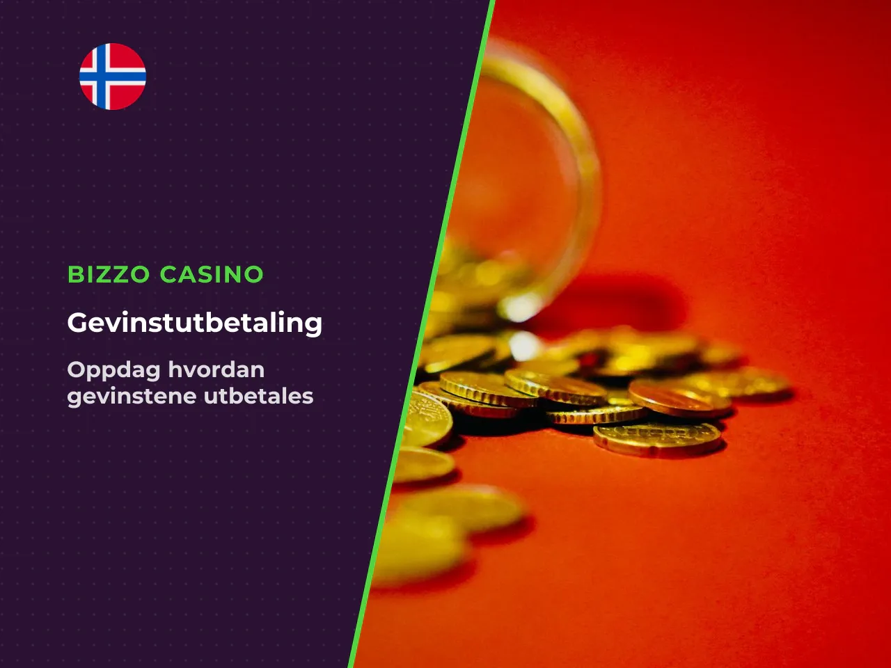 Den totale gevinsten total win for