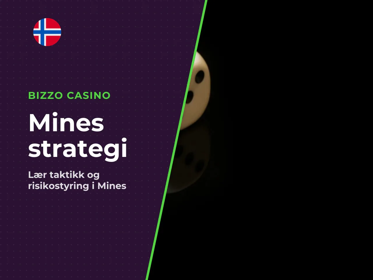 Mines strategi risikostyring og taktikk. ANSVARSFRASKRIVELSE