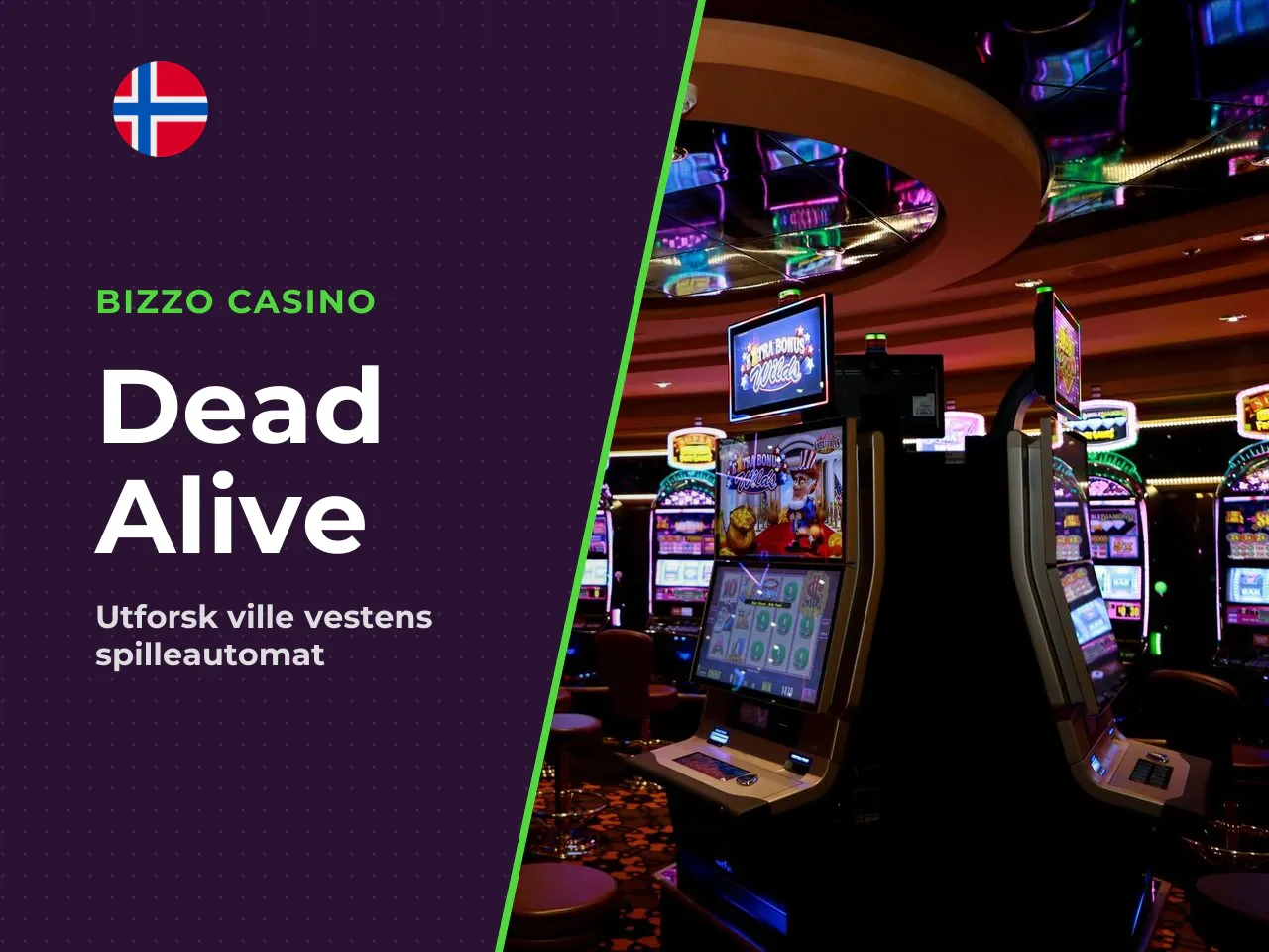 Dead or Alive slot spilloversikt og