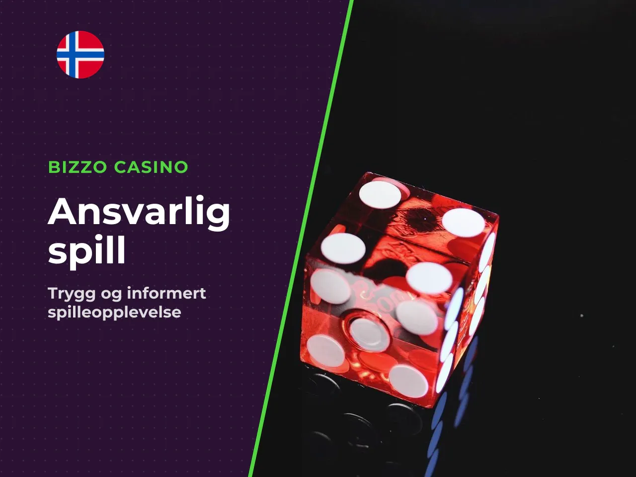 Kilder og videre lesning. - Norsk